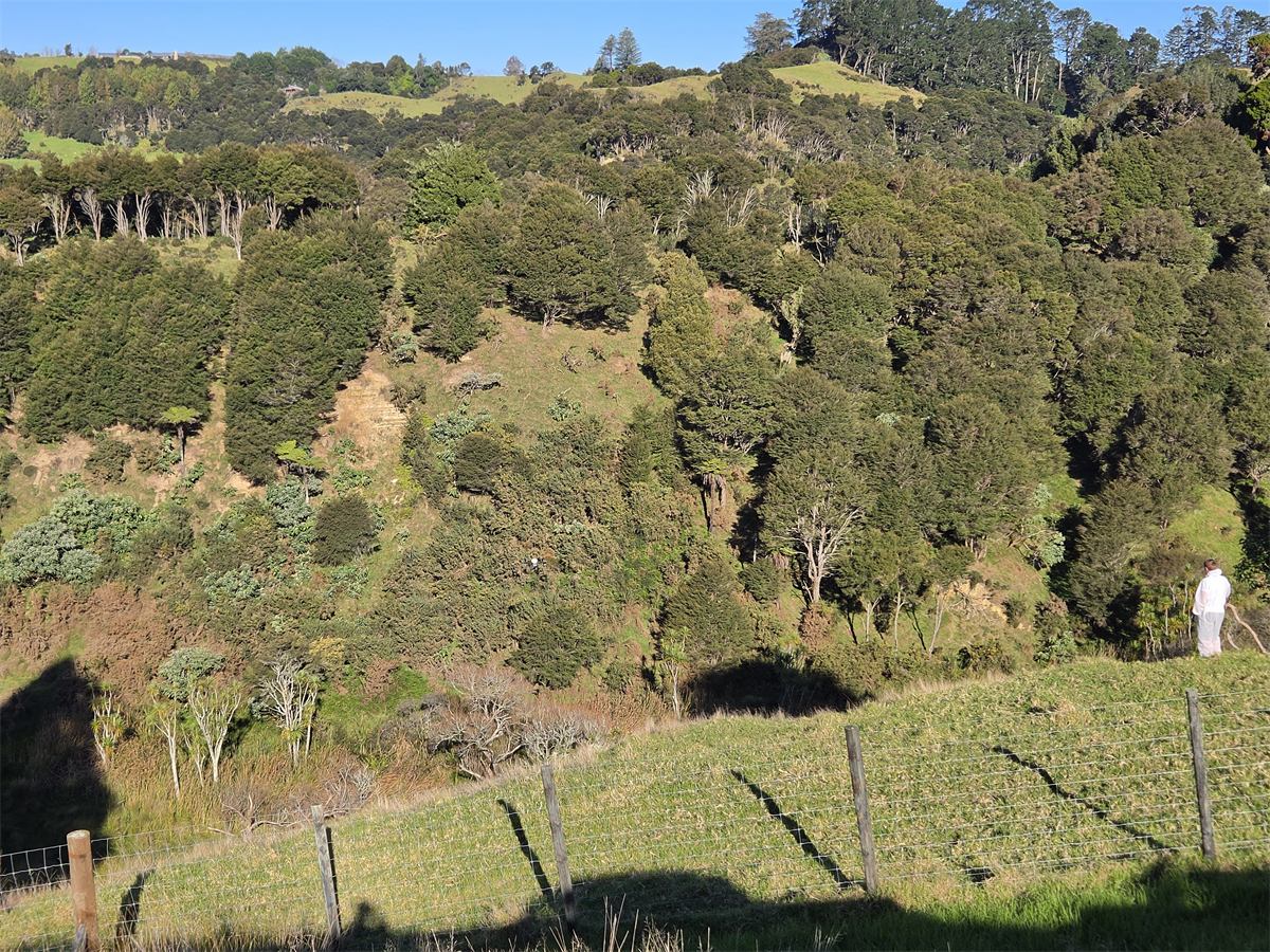 Spray drone working a gully