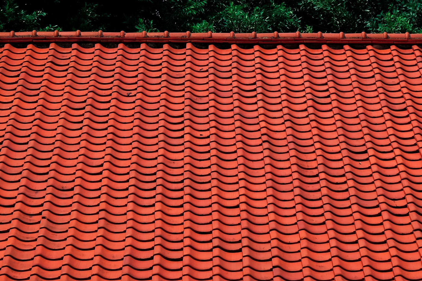 Clean roof after washing (illustrative stock photo)